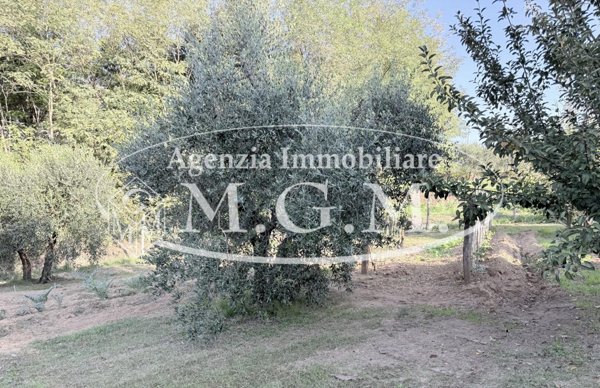 locale di sgombero in vendita a Santa Maria a Monte in zona Cerretti