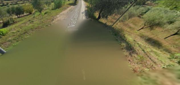 terreno agricolo in vendita a Santa Maria a Monte