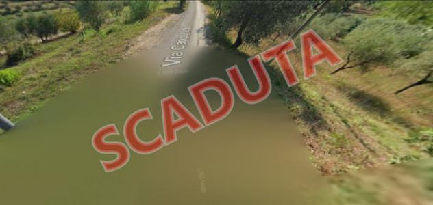 terreno agricolo in vendita a Santa Maria a Monte