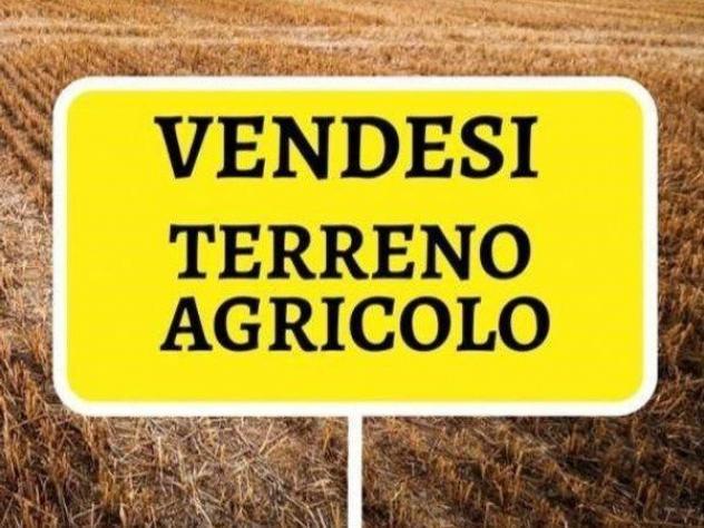 terreno agricolo in vendita a Santa Maria a Monte