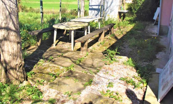 terreno agricolo in vendita a Santa Maria a Monte in zona Montecalvoli