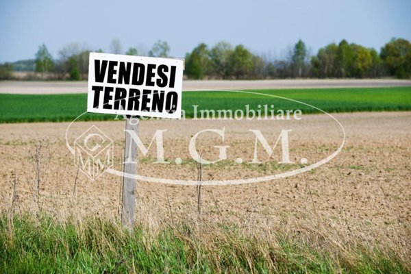 terreno agricolo in vendita a Santa Maria a Monte