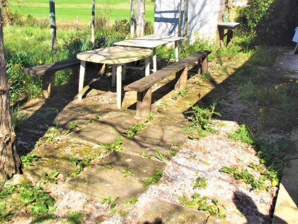 terreno agricolo in vendita a Santa Maria a Monte in zona Montecalvoli