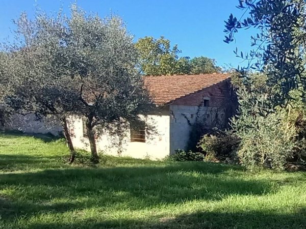 casa indipendente in vendita a Santa Maria a Monte