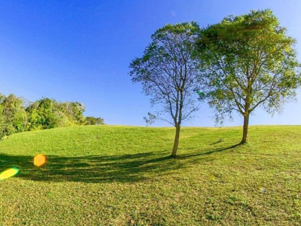 terreno agricolo in vendita a Santa Maria a Monte in zona San Donato