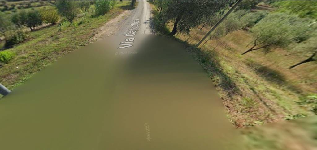 terreno agricolo in vendita a Santa Maria a Monte