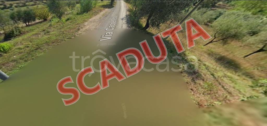 terreno agricolo in vendita a Santa Maria a Monte