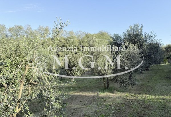 locale di sgombero in vendita a Santa Maria a Monte in zona Cerretti