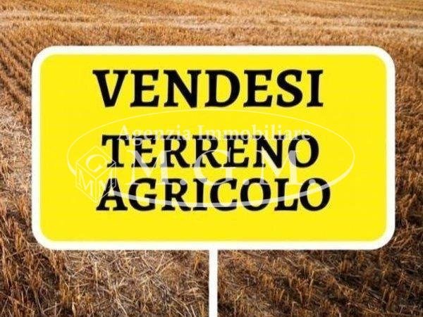 terreno agricolo in vendita a Santa Maria a Monte