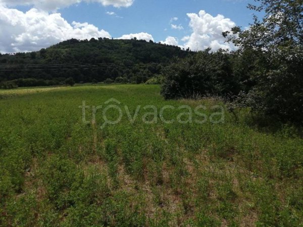 terreno agricolo in vendita a Santa Maria a Monte in zona San Donato