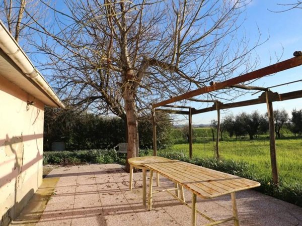 terreno agricolo in vendita a Santa Maria a Monte in zona Montecalvoli