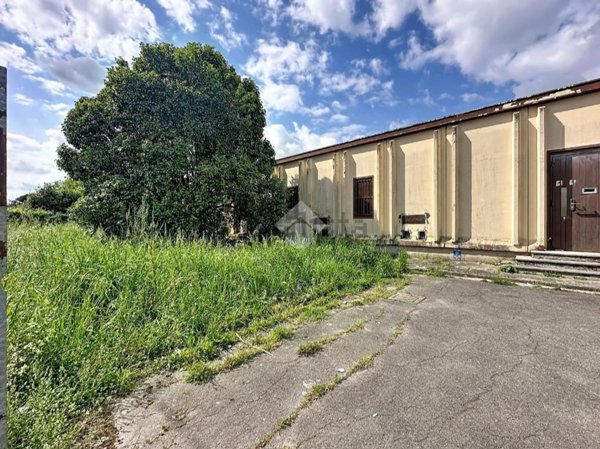 intera palazzina in vendita a Santa Maria a Monte in zona Montecalvoli