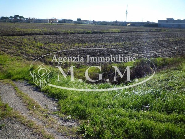 terreno agricolo in vendita a Santa Maria a Monte