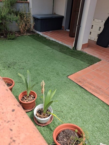 appartamento in vendita a Santa Maria a Monte in zona Montecalvoli