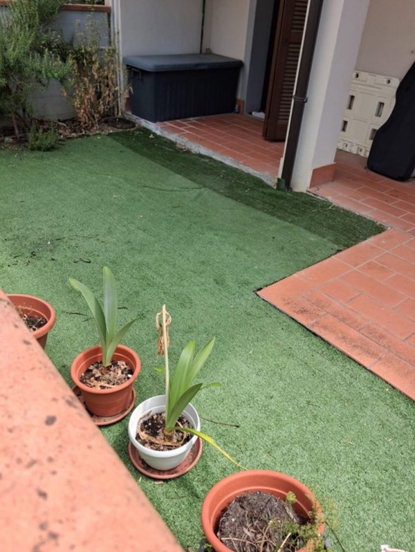 appartamento in vendita a Santa Maria a Monte in zona Montecalvoli