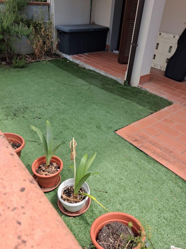 appartamento in vendita a Santa Maria a Monte in zona Montecalvoli