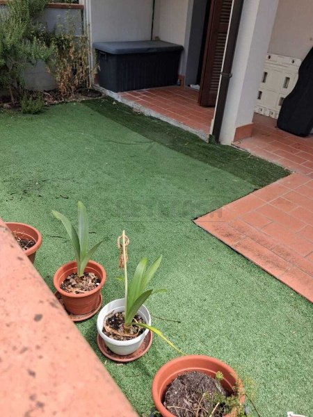 appartamento in vendita a Santa Maria a Monte in zona Montecalvoli