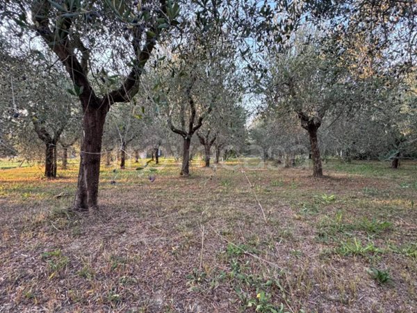 terreno in vendita a Santa Maria a Monte in zona San Donato