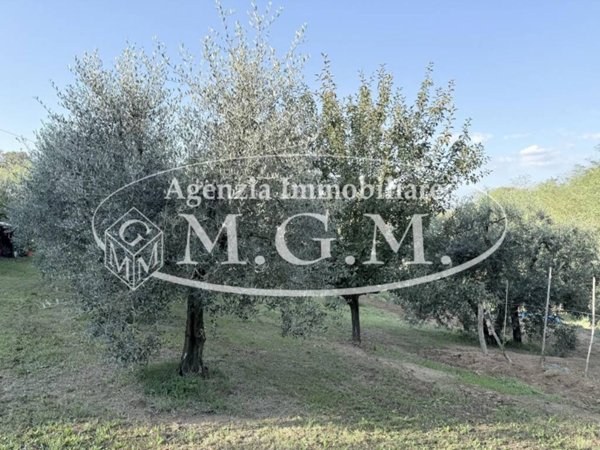 terreno in vendita a Santa Maria a Monte in zona Cerretti