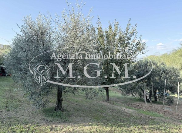 locale di sgombero in vendita a Santa Maria a Monte in zona Cerretti