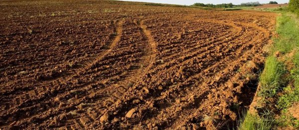 terreno agricolo in vendita a Santa Maria a Monte in zona San Donato