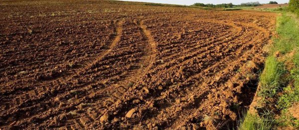 terreno agricolo in vendita a Santa Maria a Monte in zona San Donato