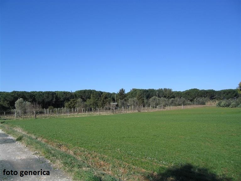 terreno edificabile in vendita a Terricciola in zona Selvatelle