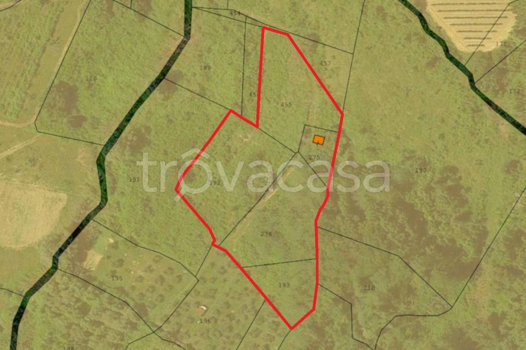 terreno agricolo in vendita a Terricciola