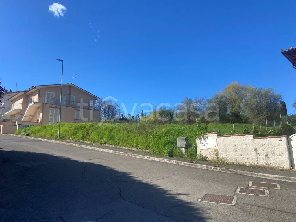 casa indipendente in vendita a Terricciola in zona Selvatelle