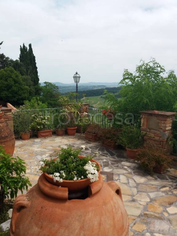 casa indipendente in vendita a Terricciola