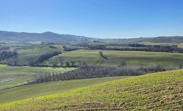 casa indipendente in vendita a Terricciola