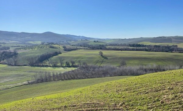 appartamento in vendita a Terricciola