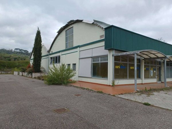 negozio in vendita a Terricciola in zona La Rosa
