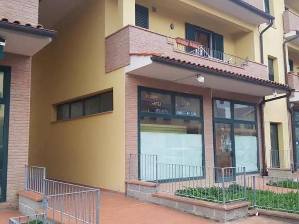 negozio in vendita a Terricciola in zona La Rosa