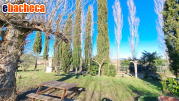 appartamento in vendita a Terricciola