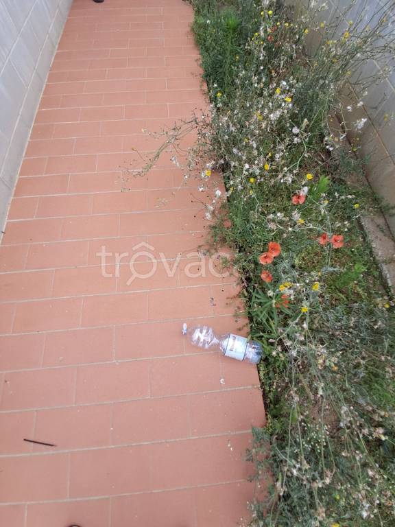 appartamento in vendita a Terricciola in zona La Rosa