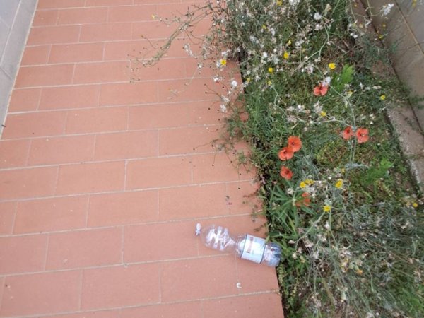 appartamento in vendita a Terricciola in zona La Rosa