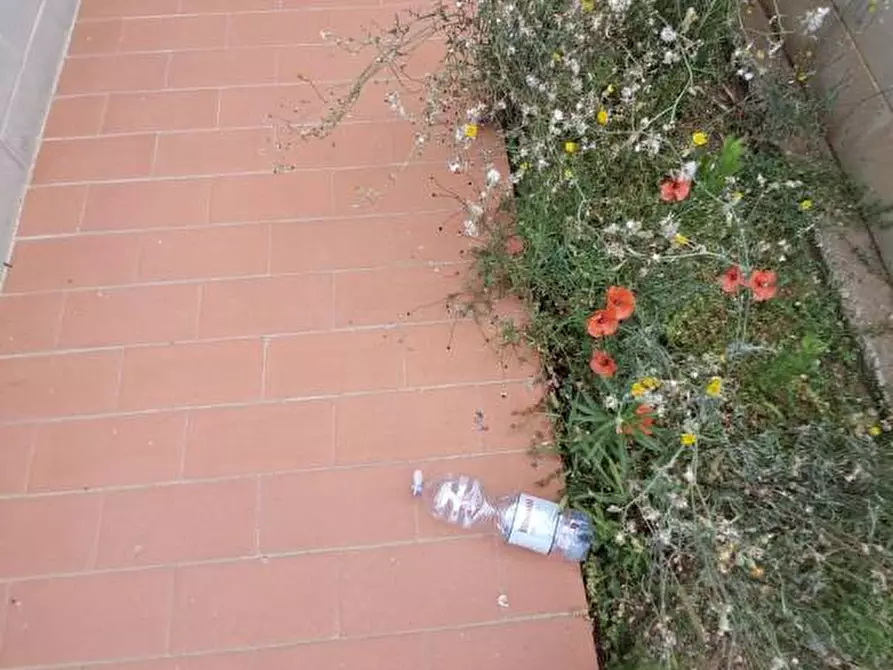 appartamento in vendita a Terricciola in zona La Rosa