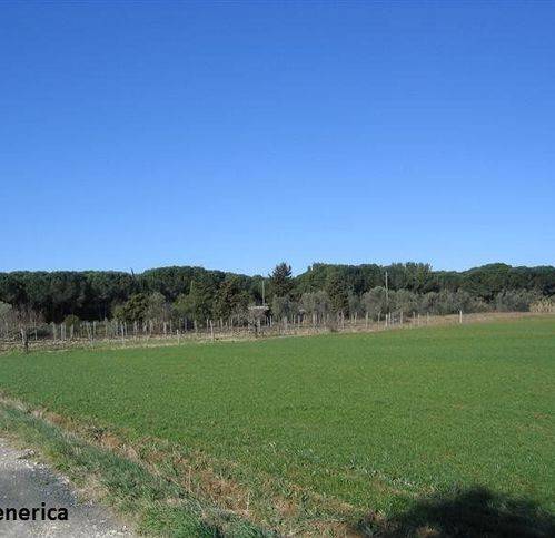 terreno agricolo in vendita a Terricciola in zona Selvatelle