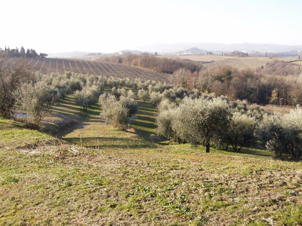 casa indipendente in vendita a Terricciola