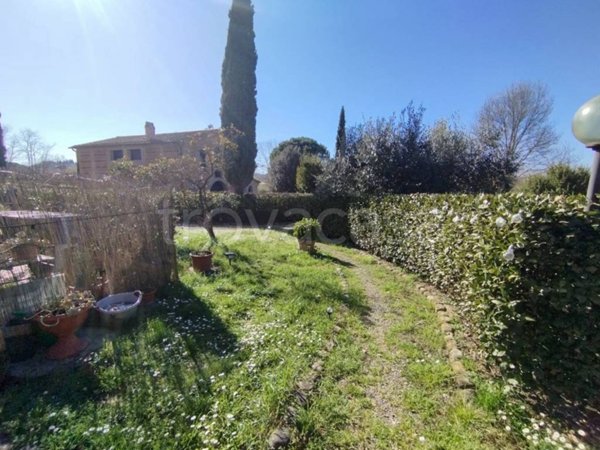 casa indipendente in vendita a Terricciola