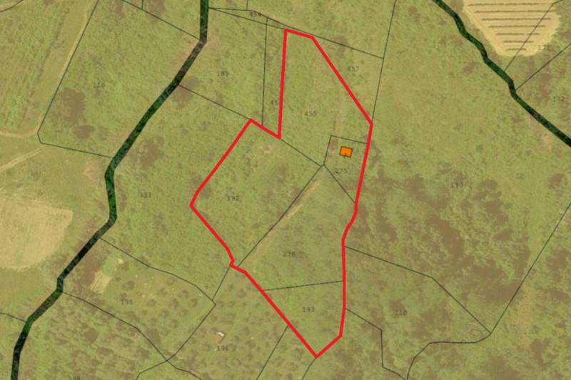 terreno agricolo in vendita a Terricciola