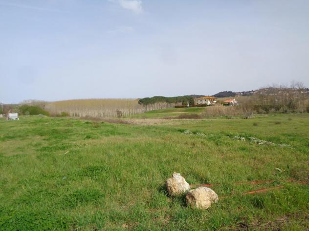 terreno edificabile in vendita a Terricciola in zona Selvatelle