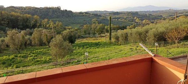 appartamento in vendita a Terricciola