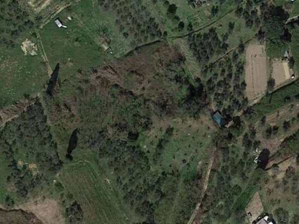 terreno agricolo in vendita a Terricciola in zona Chientina