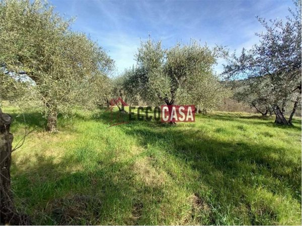 terreno agricolo in vendita a Terricciola in zona Morrona