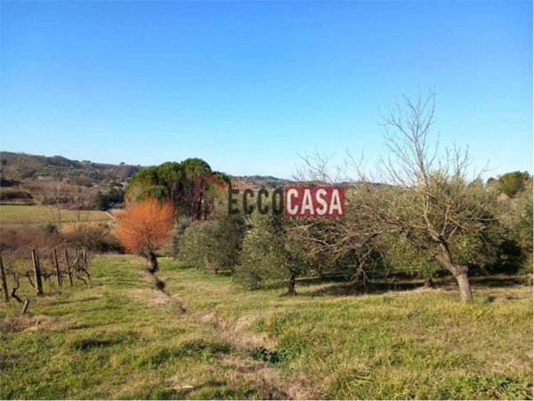terreno agricolo in vendita a Terricciola in zona Soianella