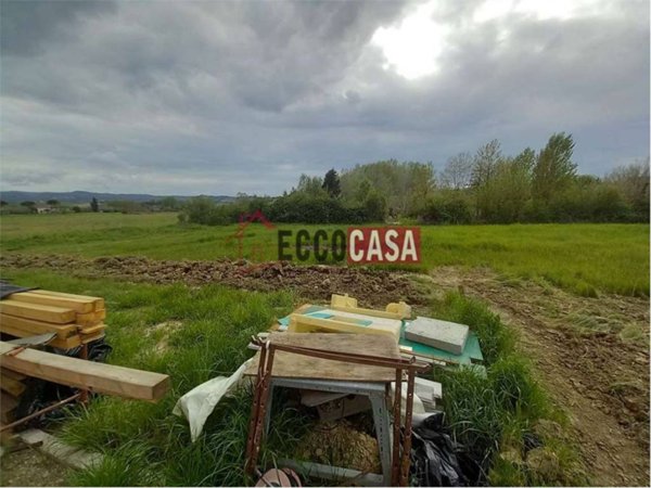 terreno agricolo in vendita a Terricciola in zona Morrona