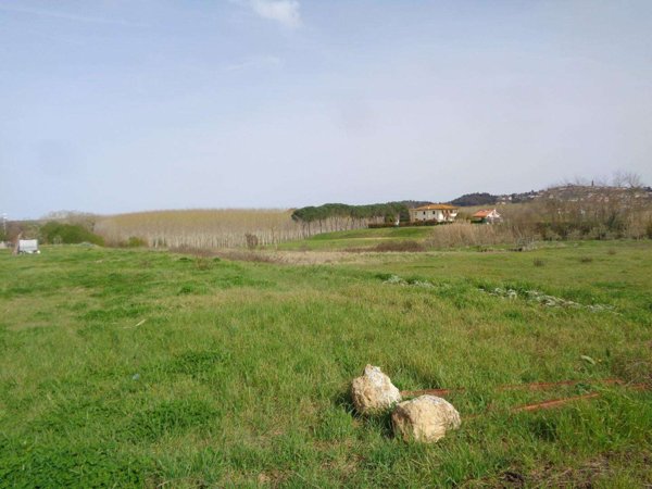 terreno edificabile in vendita a Terricciola