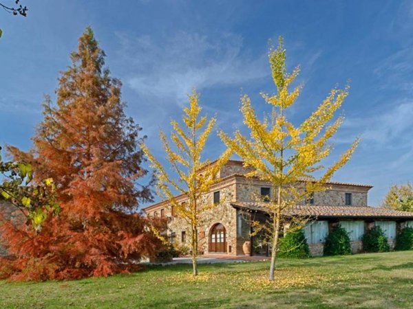 casa indipendente in vendita a Terricciola